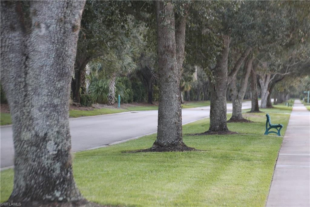 VILLAGE WALK - Residential