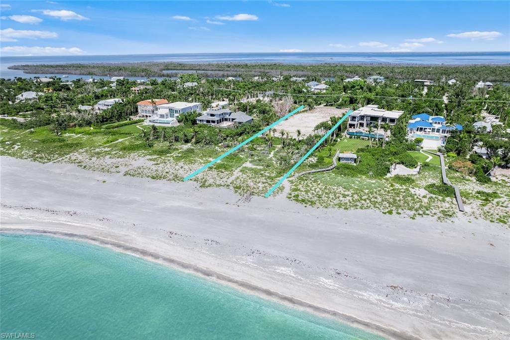 TICHENORS F H SILVER KING - Land