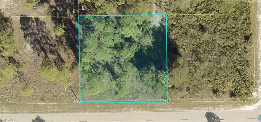 Great building lot for your new home!! Near Williams Ave. Many new homes are being built in the area. Several nearby parks and preserves to enjoy. Short drive to shopping, dining, schools and beaches. Great time to invest in sunny Southwest Florida!