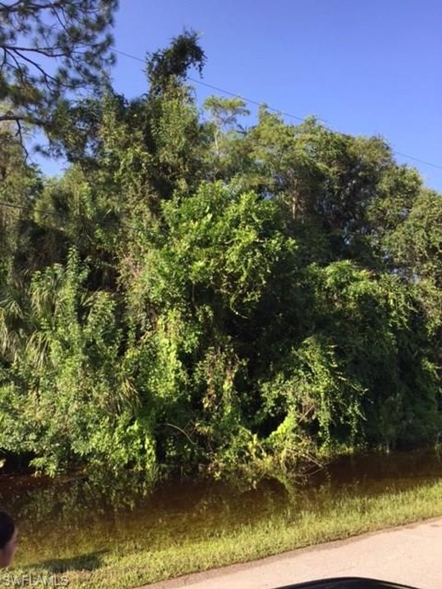 Beautiful and desirable Naples, Florida area, Logan Woods Lot, wooded lot to build your own custom home on a very nice block, approximately 7 miles from Vanderbilt beach, also close to shopping and restaurants. Convenient location with a street light on corner of lot.
Inspected by DEP on 12-15-05. No environmental Resource Permit required; Do your own due diligence. Motivated seller. Bring offers!!