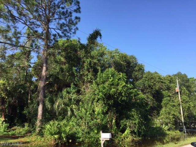 GOLDEN GATE ESTATES - Land