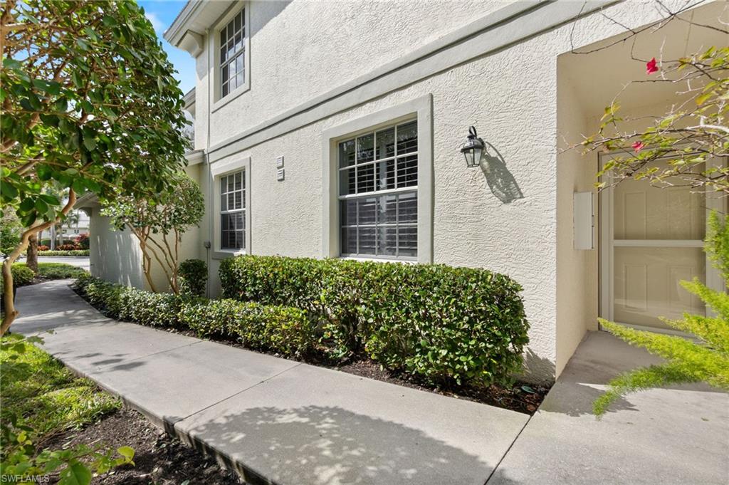 4995 Marsh Turtle TRL 102