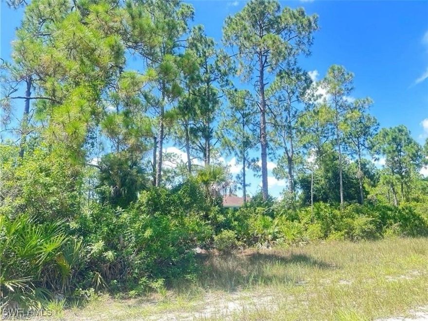“Vacant residential lot available at 1005 W 18th Street, Lehigh Acres, FL 33972. Perfect location to build your new home, offering a quiet setting with convenient access to schools, shopping, and main roads.