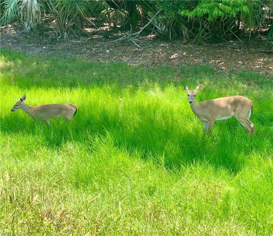 PORTOFINO - Residential