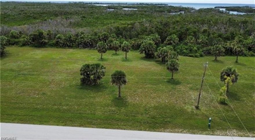 This oversized 0.46-acre multi-family zoned property in the growing Burnt Store Lakes area offers a rare opportunity for builders, investors, or future homeowners. Consisting of three combined lots, this nearly half-acre parcel allows for a spacious custom residence or potential multi-family development, with surrounding properties featuring both residential homes and income-producing properties. Located just minutes from Burnt Store Marina, Punta Gorda Airport, I-75, Cape Coral, and the upcoming Seven Islands project, this property is positioned in one of Southwest Florida’s fastest-growing areas. Residents enjoy access to public utilities, nearby boating, kayaking, dining, golf, and outdoor recreation. Seller may consider package opportunities and financing options may be available vía our lender partners. Great opportunity to build now or invest for the future. Only serious offers and no wholesalers. In summary, each lot is listed at $59,900 at .46 acres each. They are clear of trees. There are three lots side by side -- only being sold as a package deal and not individual. Lot 9 (16791 San Edmundo Rd), Lot 10 (16801 San Edmundo Rd), Lot 11 (16801 San Edmundo Rd). Zoning allows for multi-families and or single family houses, you can build duplexes or town homes here. If you need professional resources like architects, engineers and builders and lenders we can assist with that.