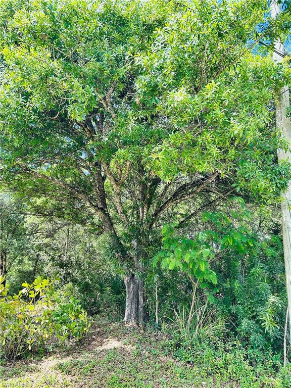 BURGUNDY FARMS - Land