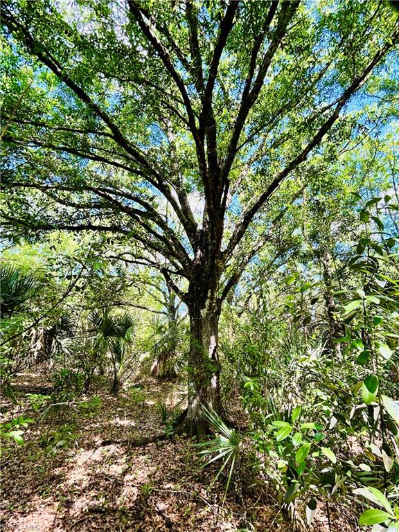 BURGUNDY FARMS - Land