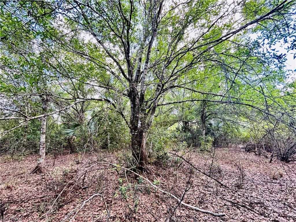 BURGUNDY FARMS - Land