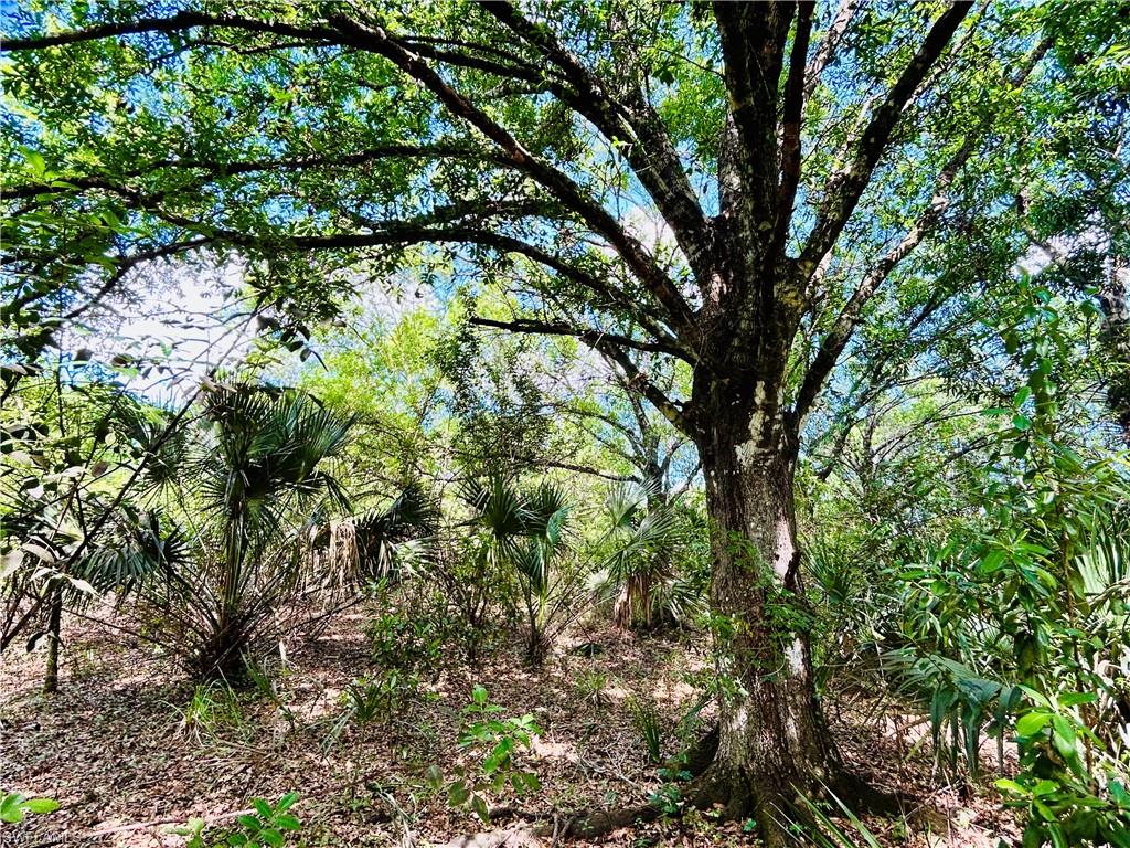 BURGUNDY FARMS - Land