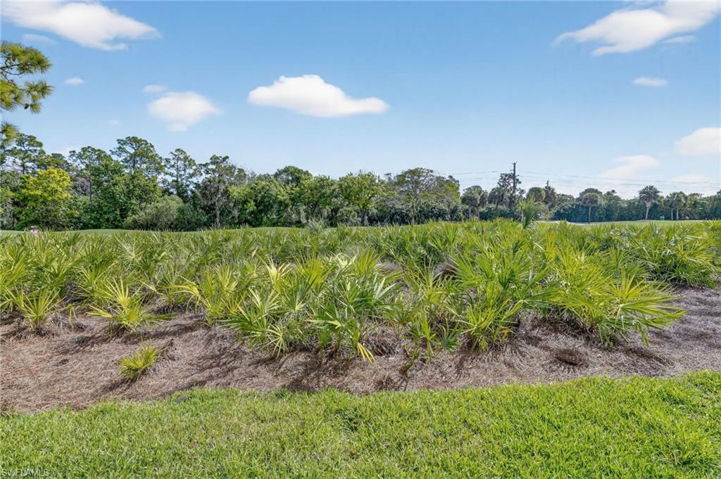 ST ANDREWS VERANDAS - Residential