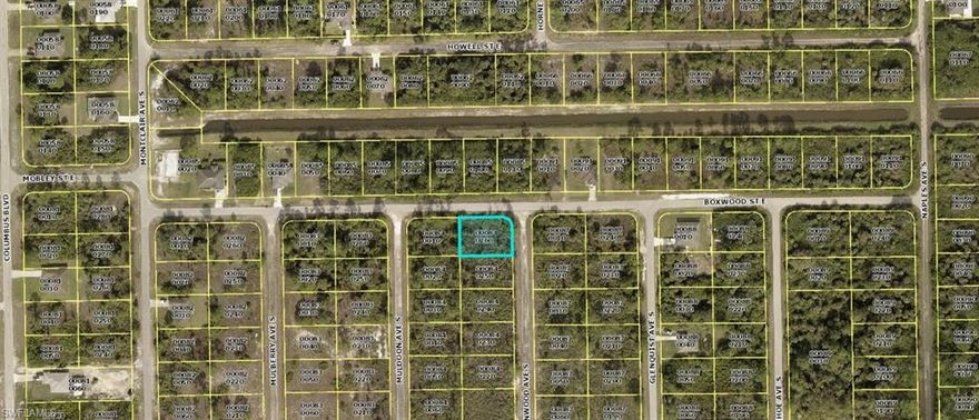 Great corner lot in a fast growing section of Lehigh Acres. The corner lot located at 633 Muldoon Ave S is also for sale and can be combined with this lot for over 1/2 acre. Grab this before it's gone!