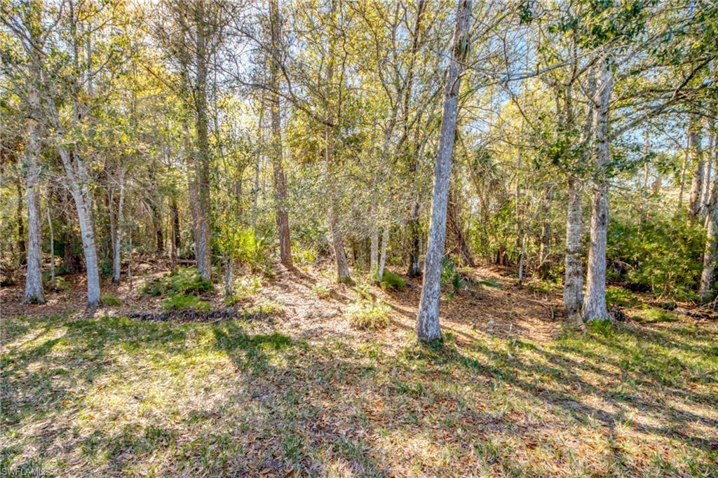 RAVENNA - Residential