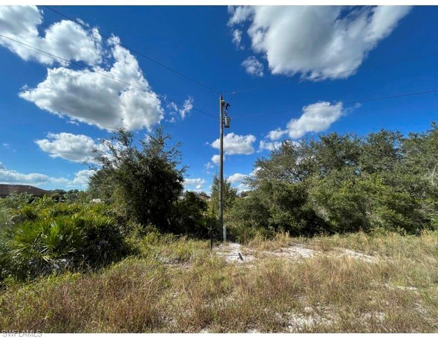 Over-sized lot in Greenbriar area, perfect for a future home site! Easy access to SR-80 or SR-82 and Daniels Pkwy Extension to I-75. Quick drive to grocery stores, dining, shopping, and entertainment. Located in one of the fastest growing areas in Lee County. Motivated seller, make an offer today!