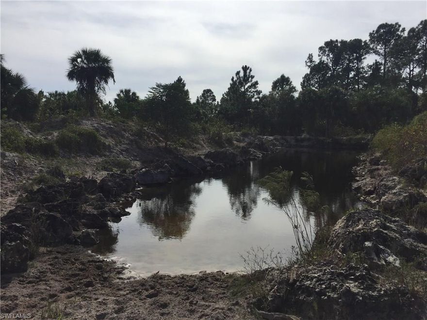 BUYERS!!! Come see this great opportunity.  20 ACRES of agricultural land, located in a growing area of Naples, Florida.
This land could accommodate four dream homes, or it could be developed for an agricultural business.  The property is fully fenced and partly pastured with a small pond.
Only 5 minutes away from Golden Gates Estates, not too far  from Naples Beaches.
Priced to sell. This is a great time to buy. Don't loose this great opportunity.
Private financing may be available for those who qualify. 
_No D.E.P in the property; However, looks good.