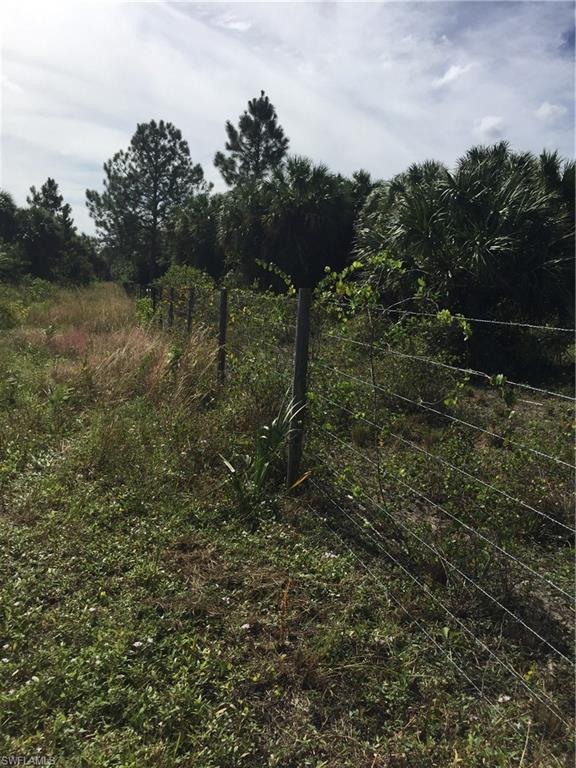 GOLDEN GATE ESTATES - Land