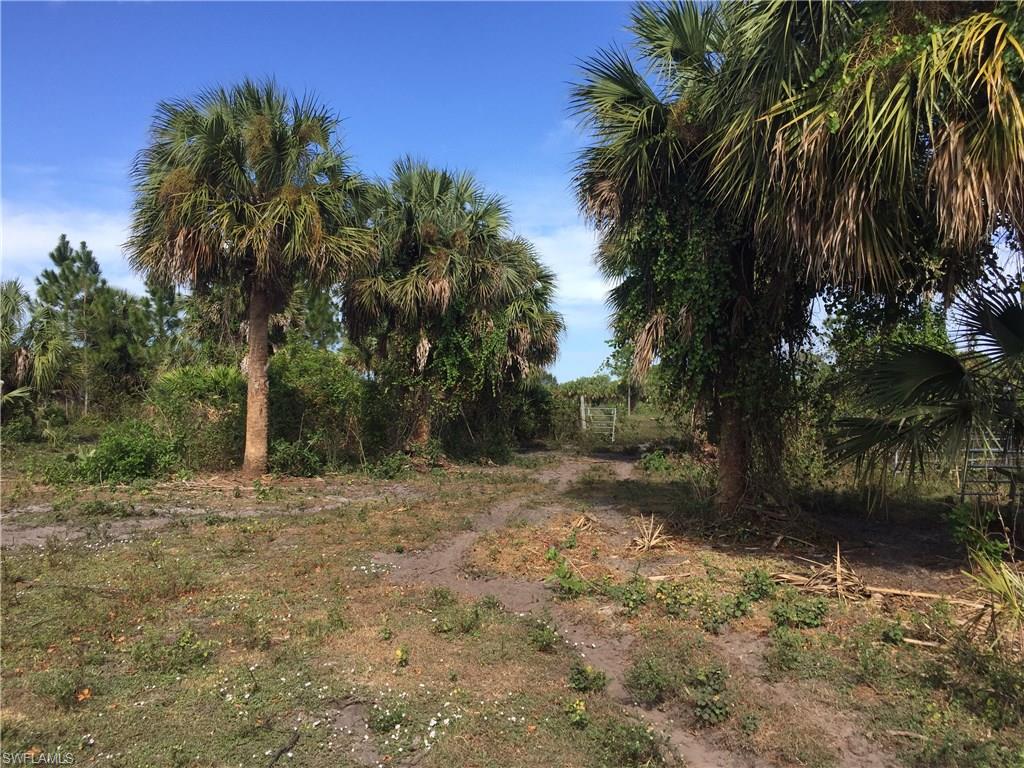 GOLDEN GATE ESTATES - Land