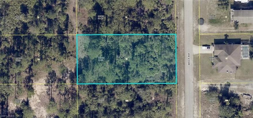 Build your dream home here!  Half acre lot on a dead end street in a developing area of Lehigh Acres.  Easy access to shopping, restaurants, schools, churches and the new Frank Mann Park.  Come and enjoy all sunny SW Florida has to offer.
