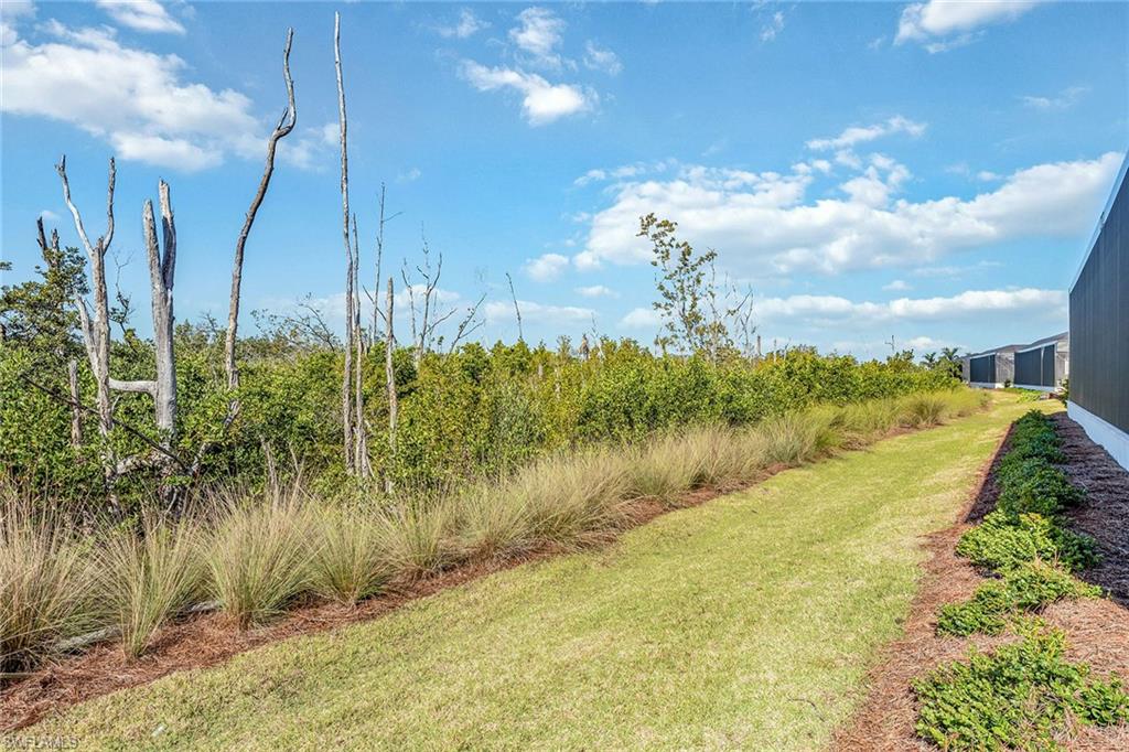 ISLES OF COLLIER PRESERVE - Residential