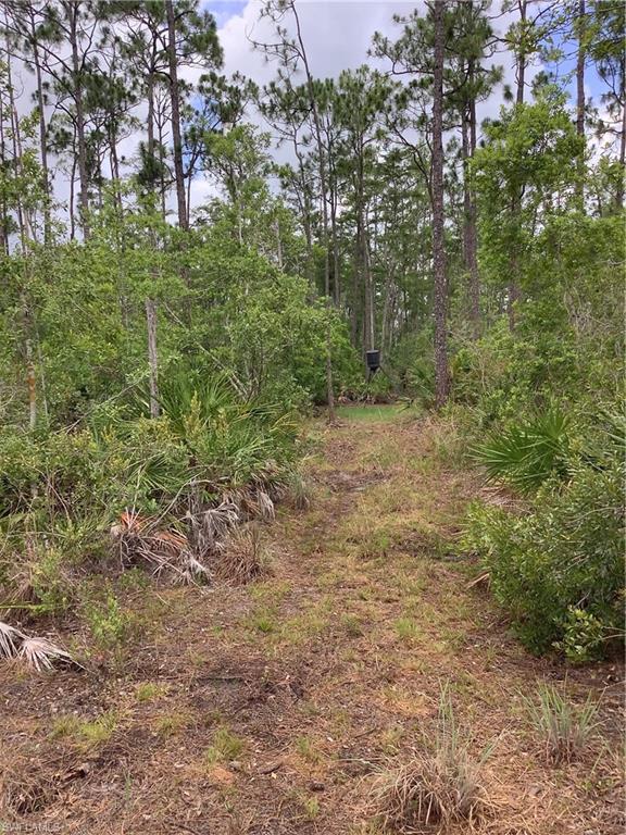 NOT APPLICABLE - Land