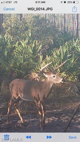 NOT APPLICABLE - Land