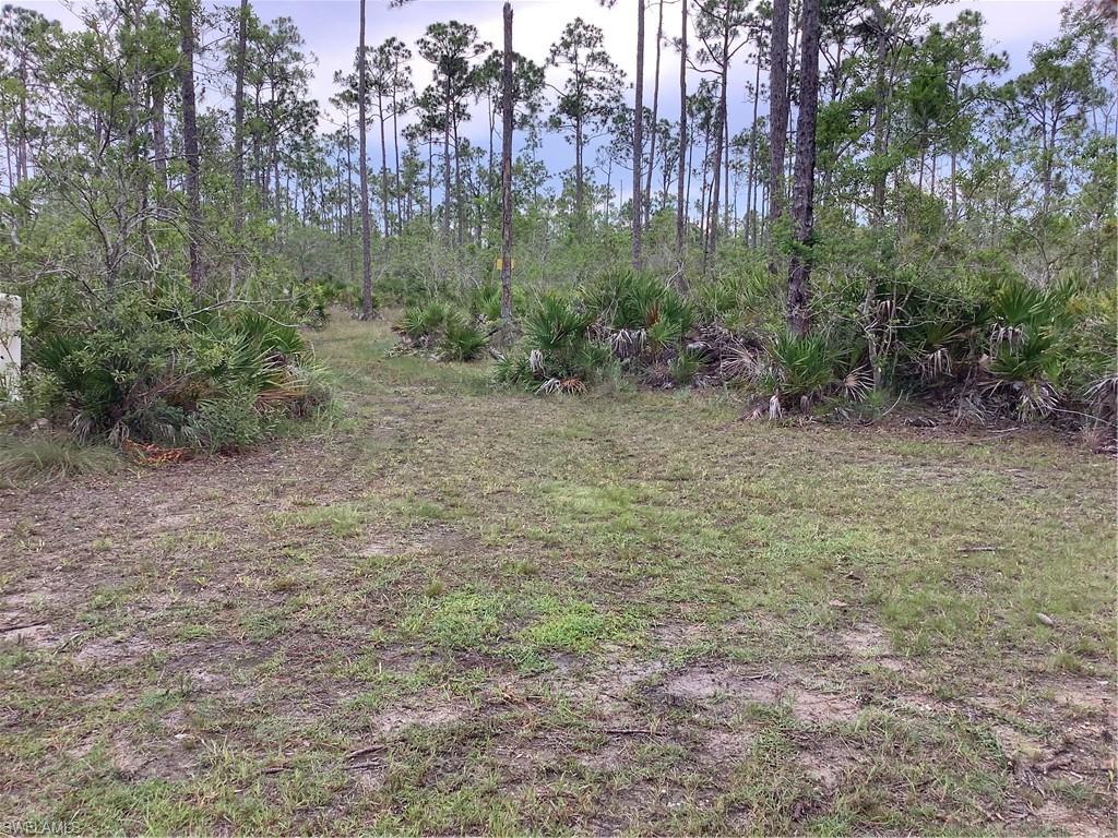 NOT APPLICABLE - Land