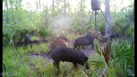 NOT APPLICABLE - Land