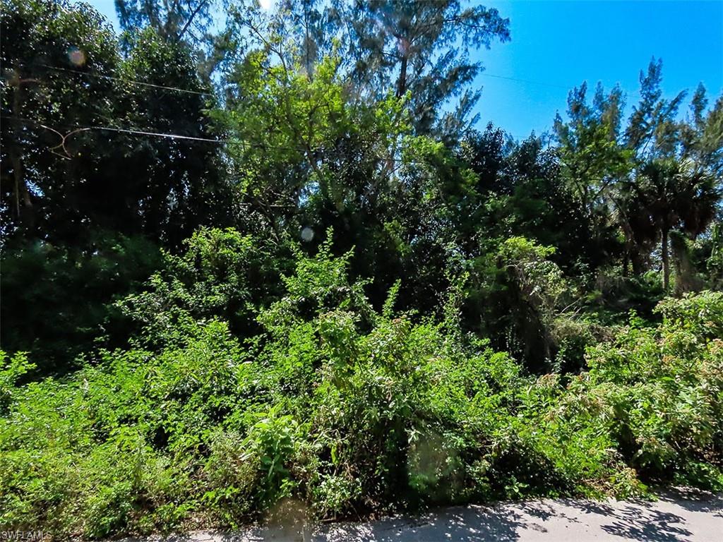 SANIBEL PINES UNREC - Land