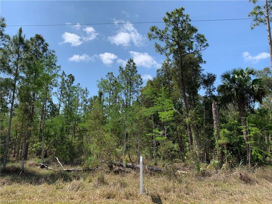 Beautiful wooded lot located in the Golden Gate Estates, near 2 new upcoming shopping centers!! Take this opportunity to become part of a fast developing community!