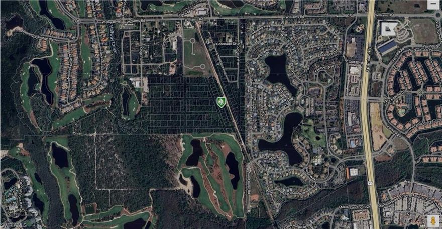 no access sits on Estero Springs, future holds, raw land, needs access to it, non gated no HOA, is nearby Hertz, Coconut Point Mall and restaurants, seller is motivated