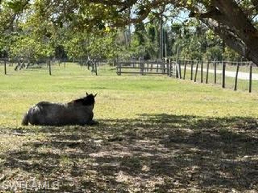 This Horseperson's dream property is a perfect getaway in the paradise of Pine Island, close to fishing, boat ramps, and many waterfront restaurants and bars.  2.56 acres with stellar improvements.  Property has well water, city water, and electric.  There is a large gravel pad for RV's with hook ups, two shipping container,(45 ft and 20 ft)with electric and lights for feed, hay, tack, and equipment storage.  Two pole barns, one with two 10x10 stalls and one with two 12x12 stalls and custom swing gates.  Both pole barns are elevated and matted.  Property is fenced with no climb and electro braid top line to keep critters out and horses in.  16 ft entry gates, new well pump, and the east fence line was replaced in 2025.  Quiet and peaceful on a dead end road, safe and functional.  Very well maintained.  This property is located on the highest elevation on the island and did not flood during the past 3 storms.  Zoning is AG-2 and a single family residence is allowed.  Horse trailer does not convey