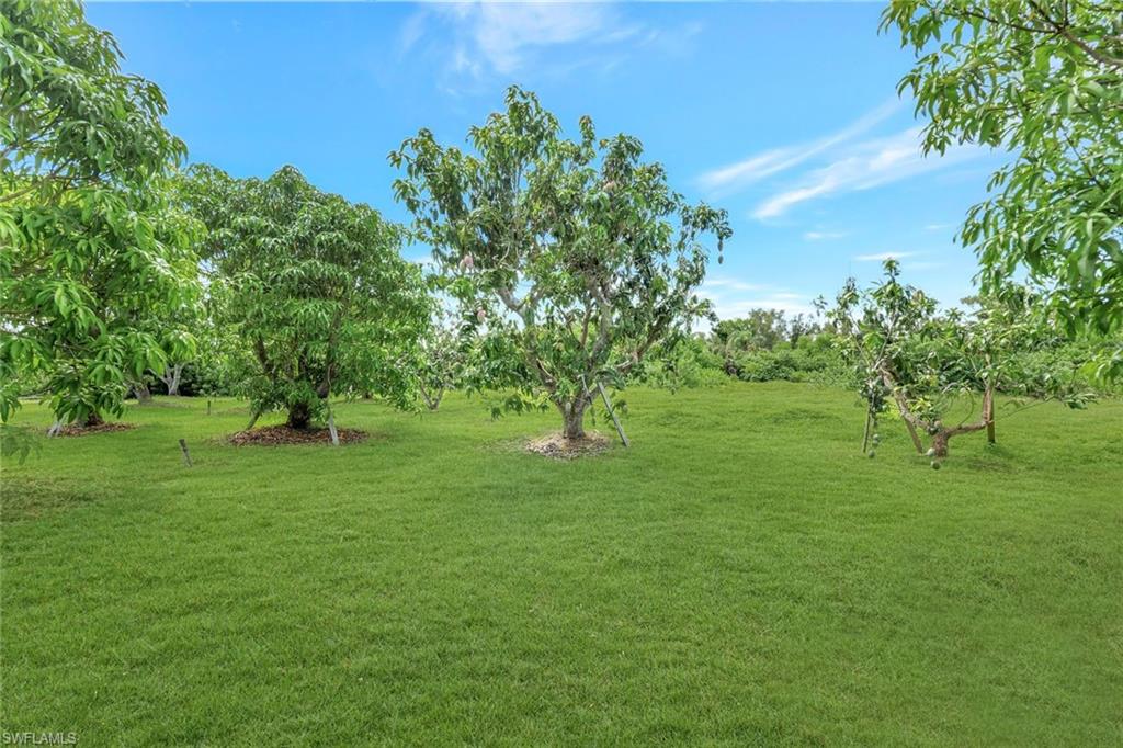 PINE ISLAND - Residential