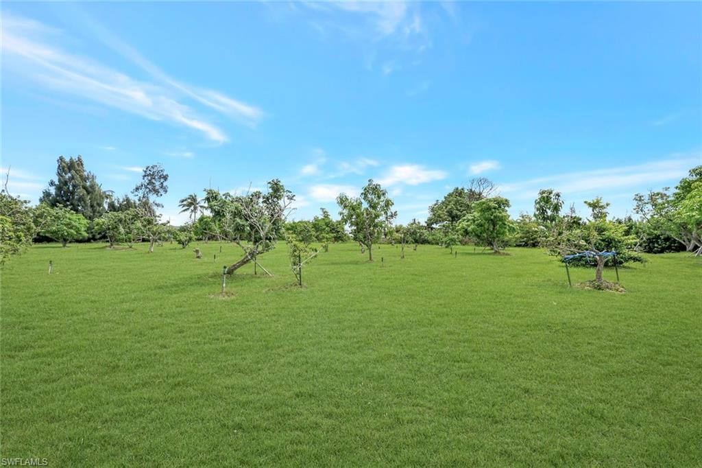 PINE ISLAND - Residential