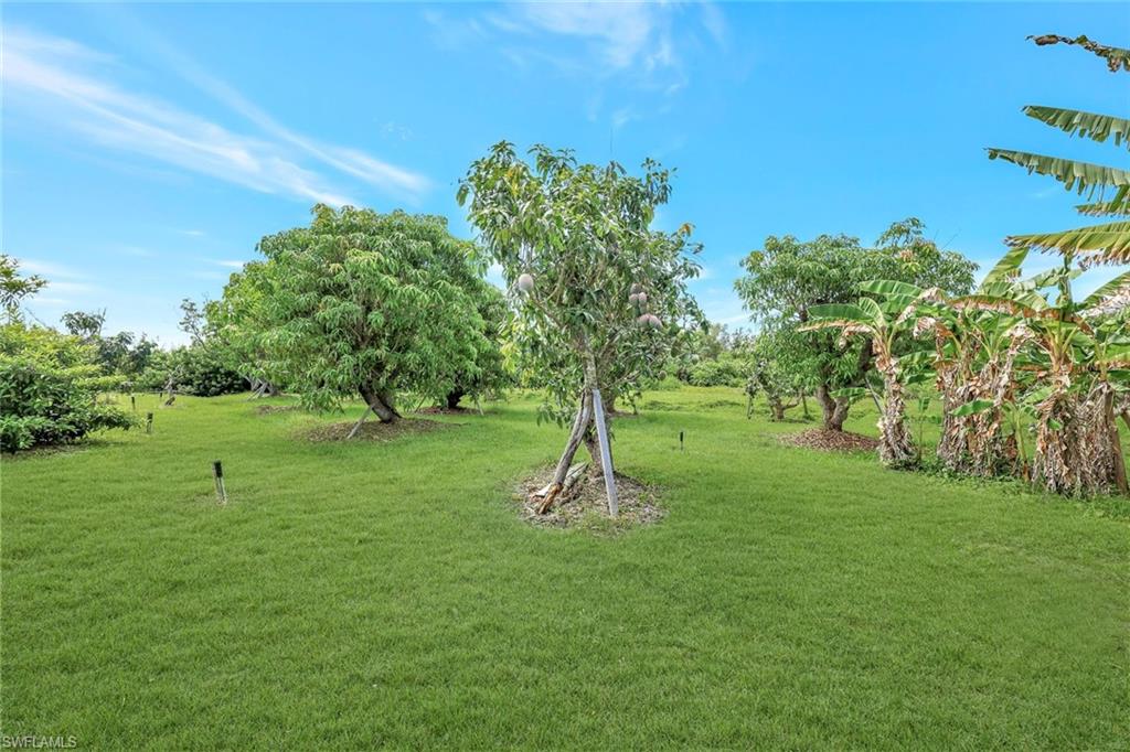 PINE ISLAND - Residential