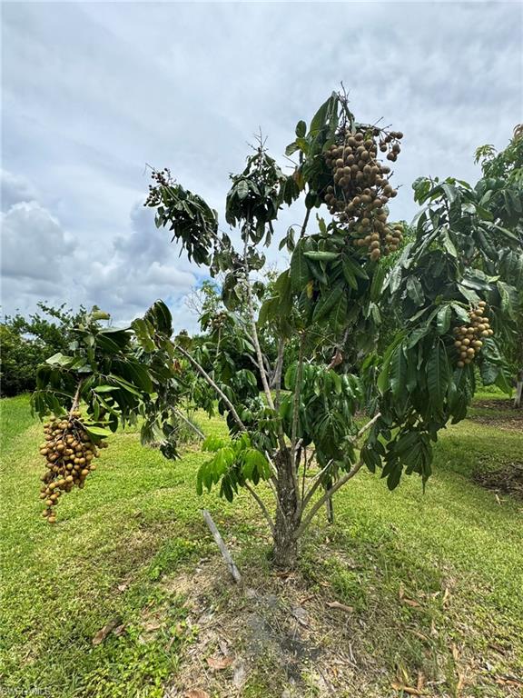 PINE ISLAND - Residential