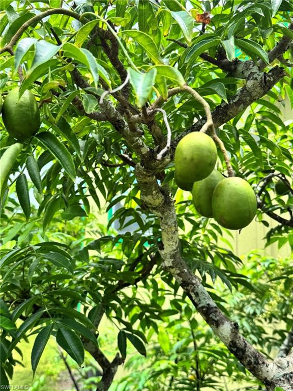 PINE ISLAND - Residential