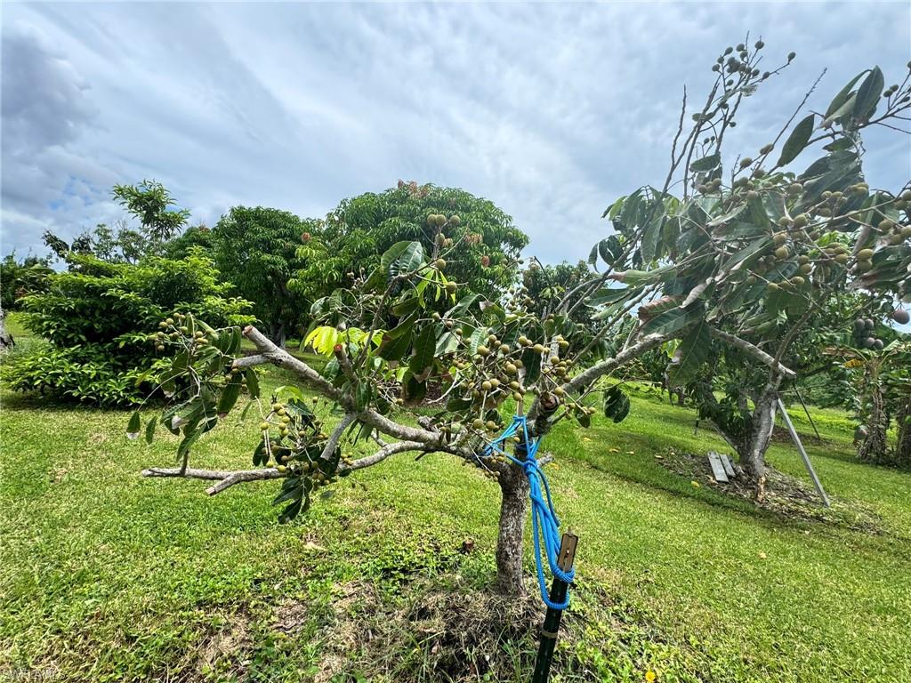 PINE ISLAND - Residential