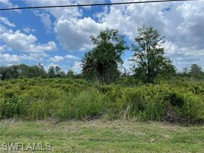 GOLDEN GATE ESTATES - Land