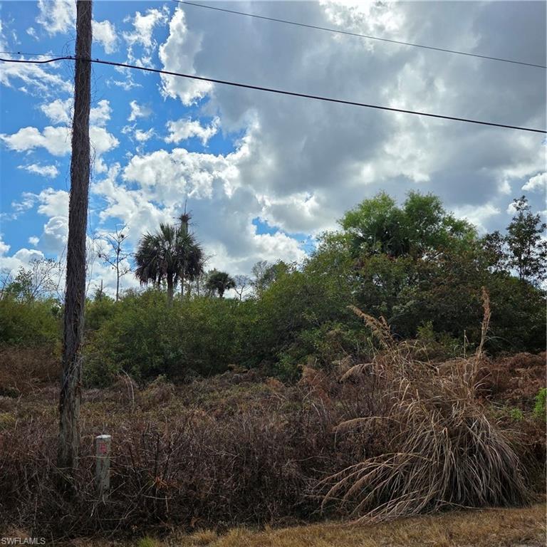 GOLDEN GATE ESTATES - Land