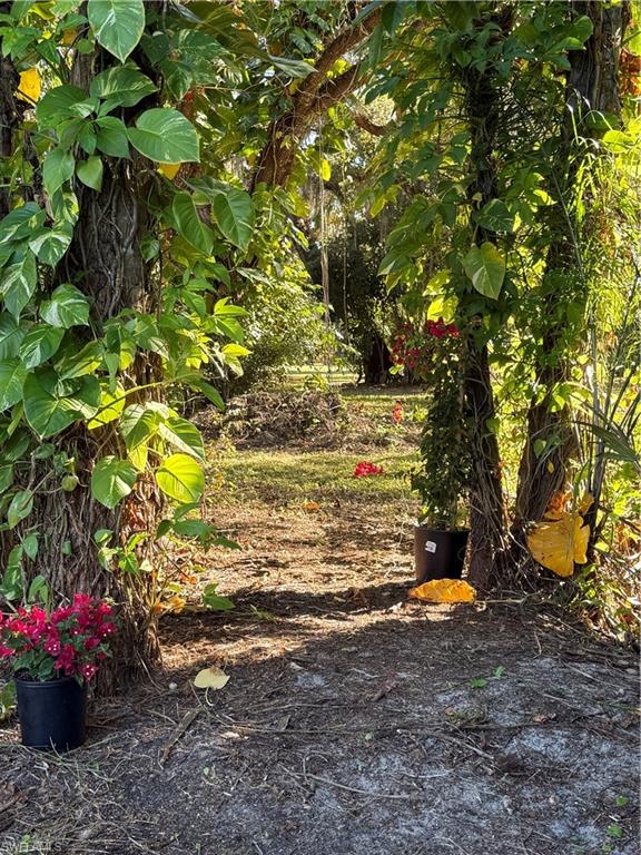 NORTH FORT MYERS - Residential