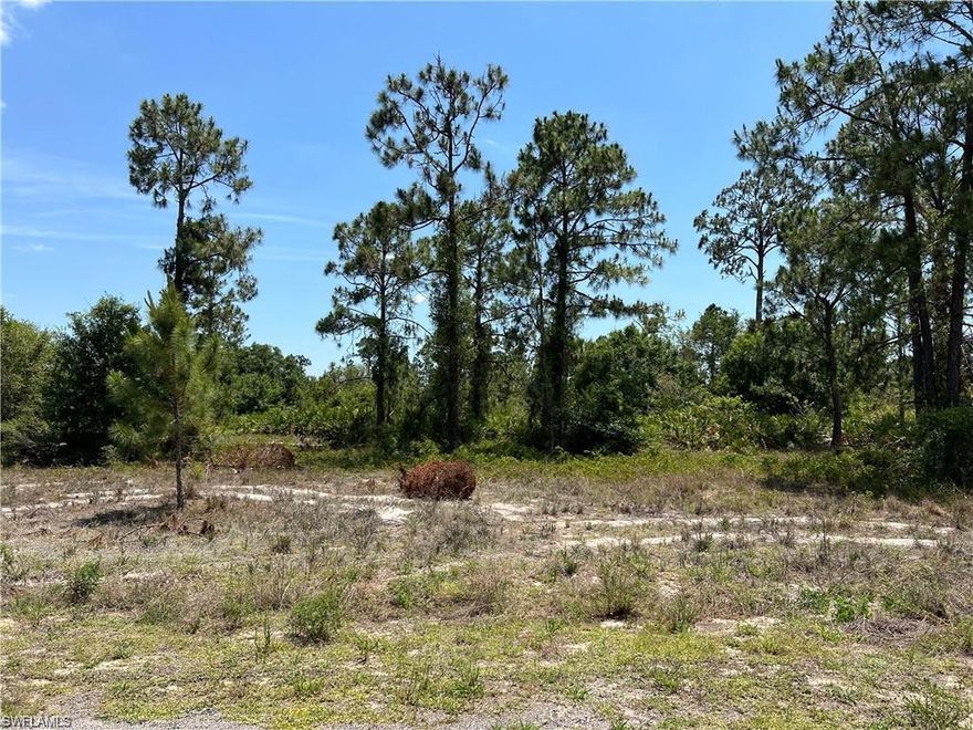 Oversized lot (1.25 acres) in area of million-dollar homes. Build your dream home with your favorite farm animals or keep for long-term appreciation. There are established homes on 5th Place which will make pulling electricity to this lot a simple task. Minutes to Lehigh Acres and easy access to main roads into Fort Myers and all that SW Florida has to offer: spring training for the Red Sox and Twins, world class and casual dining, ever-expanding shopping areas, year-around sunshine and miles of gorgeous sandy beaches! It doesn't get much better than this! Call today for more information.