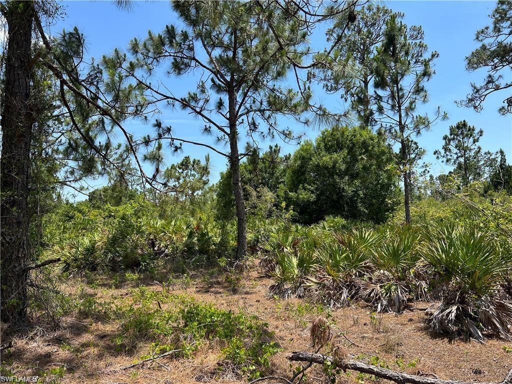 WHEELERS SUBD - Land