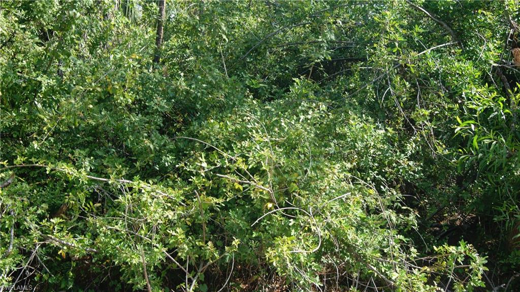 GOLDEN GATE ESTATES - Land