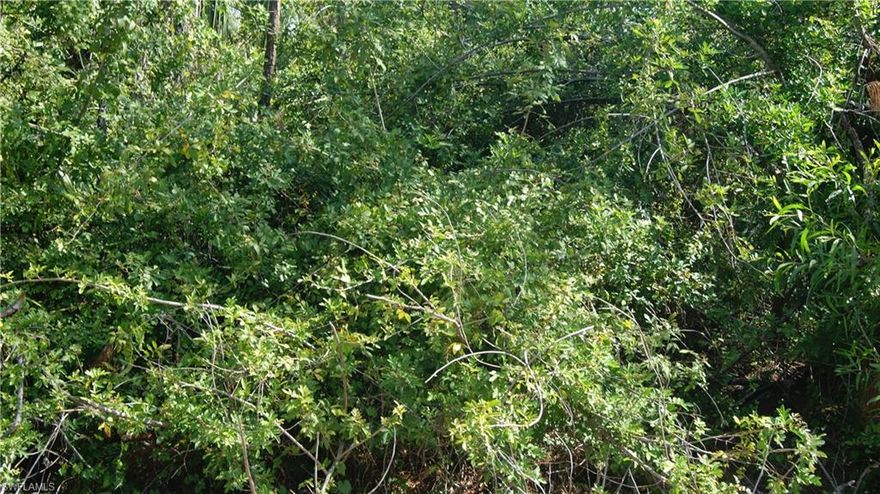 Buy and hold or Build your Dream Home and bring your ATVs, RVs,boats, and other toys. This beautiful lot is situated on 2.81 acres of wooded land and the privacy and tranquility it offers is unlike any other. This lot runs west to east and is facing Desoto Blvd, allowing for quick access and a quicker drive into town. If you would like to build, we have builders available with a variety of property types to suit your needs. Whenever you are looking for a contemporary house plan, a KeyWest style home, the choice is yours. Environmental studies are always recommended on all Golden Gate Estates lots