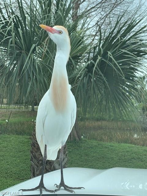 DOVE HOLLOW - Residential