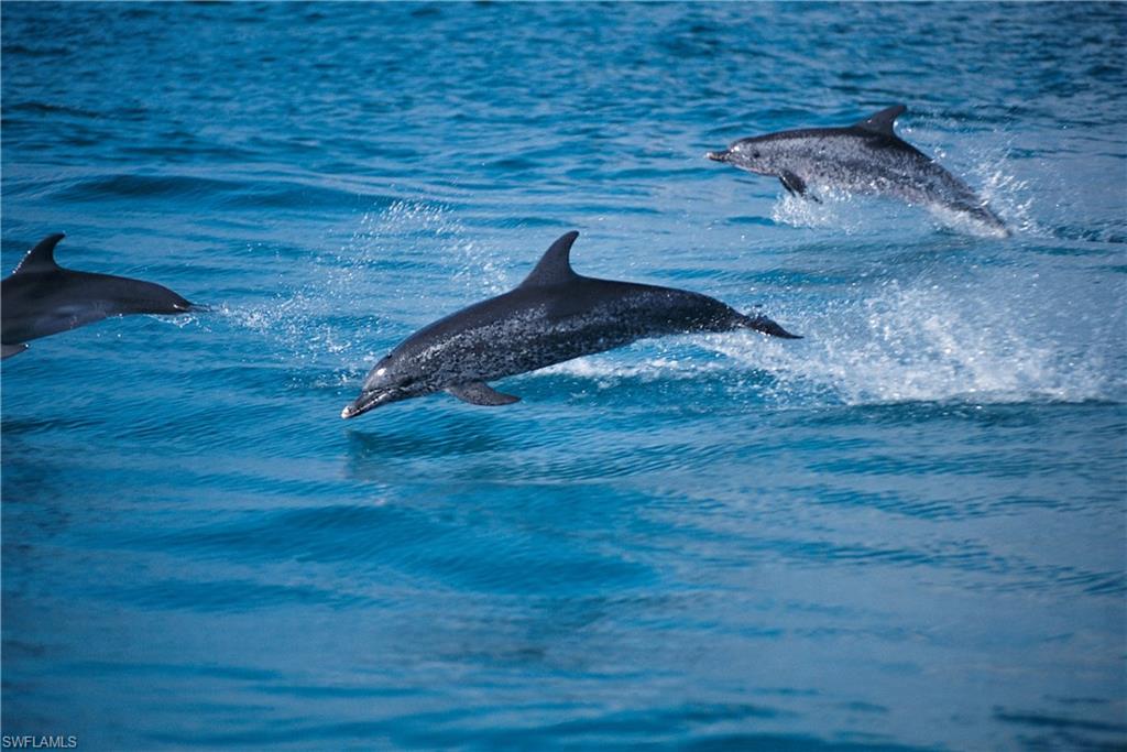 DA VINCI ESTATES - Residential