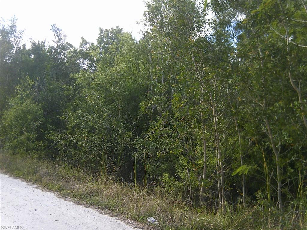 ACREAGE HEADER - Land