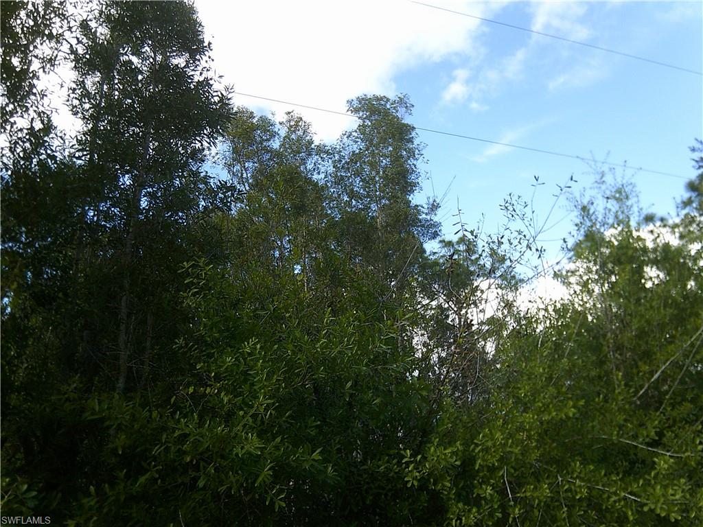 ACREAGE HEADER - Land