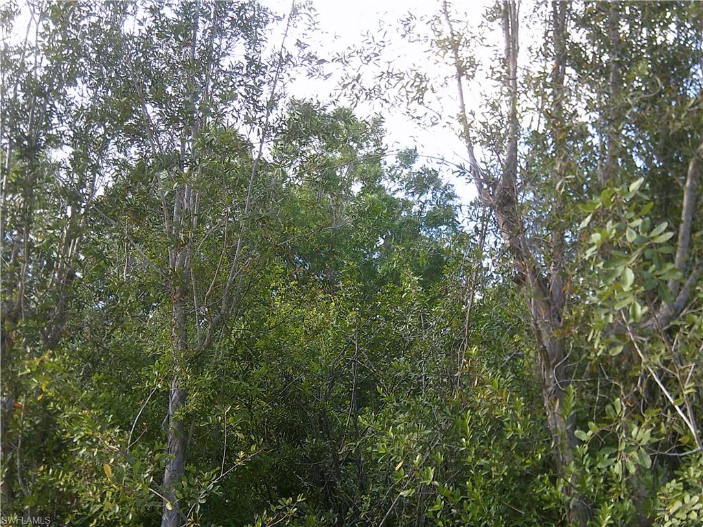 ACREAGE HEADER - Land