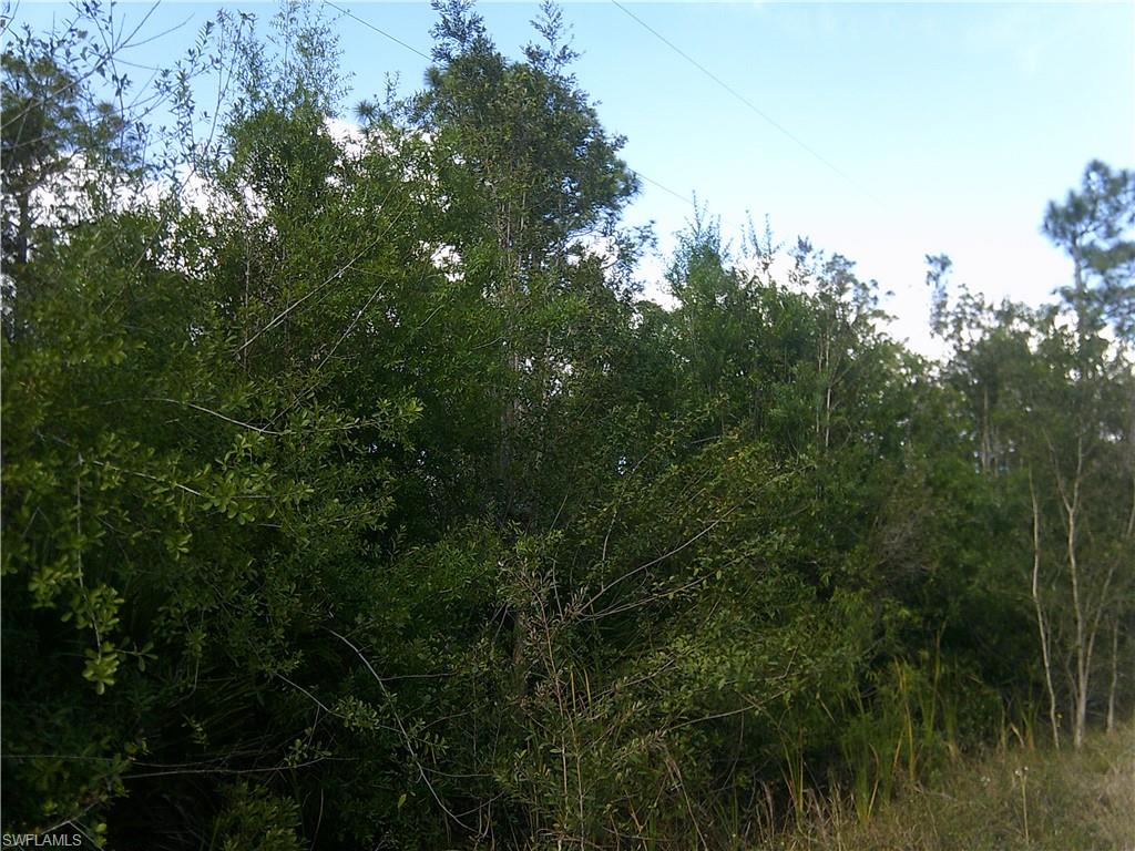 ACREAGE HEADER - Land