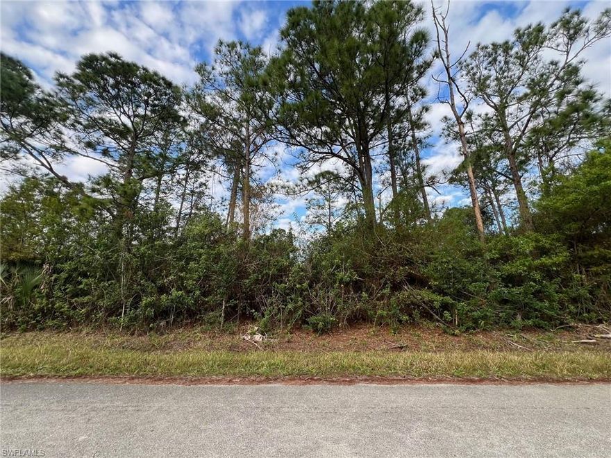 Take advantage of this rare opportunity to own a beautiful one-acre lot at an unbeatable price. Situated for those seeking space, privacy and potential for development, this flat, buildable lot offers endless possibilities. Whether you're looking to build your dream home or simply invest in land for the future, this property has it all. Just east of Joel Boulevard, this location has easy access to State Roads 80 and 82. Don't miss out on this affordable and spacious lot and contact me today for more details.